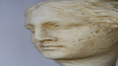 6181077f4c59b755bd70ddc9