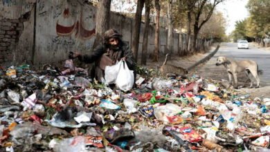 618cded84c59b75b7d3c2e53