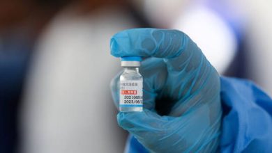 6190fdc54c59b726a75466c1