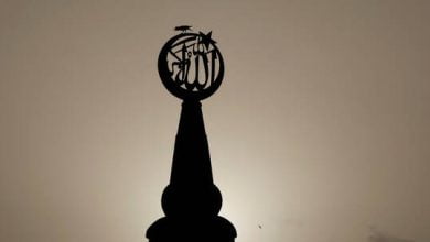 619368ad4c59b71ee139512d