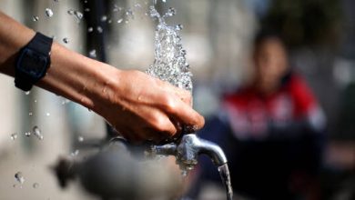 619f30bd423604703950efd8