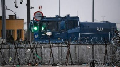 619f77324c59b77717428241