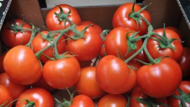 6C37B0CC 906F 4CA1 B515 9F0C68258489