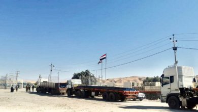 773667A1 D6C4 4850 AE9C 715649503A4C