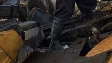 7EC0B91D 899D 4BE5 A9DD 746A1E9B865B