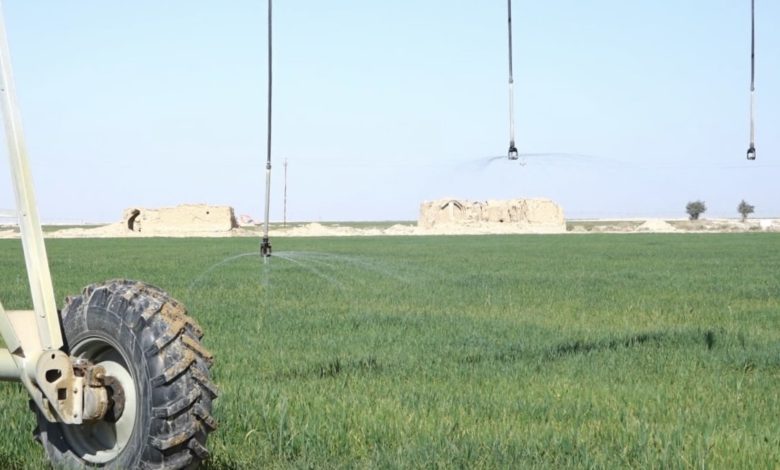 87D4ED5C 2276 4FD3 99A2 E45559A68026