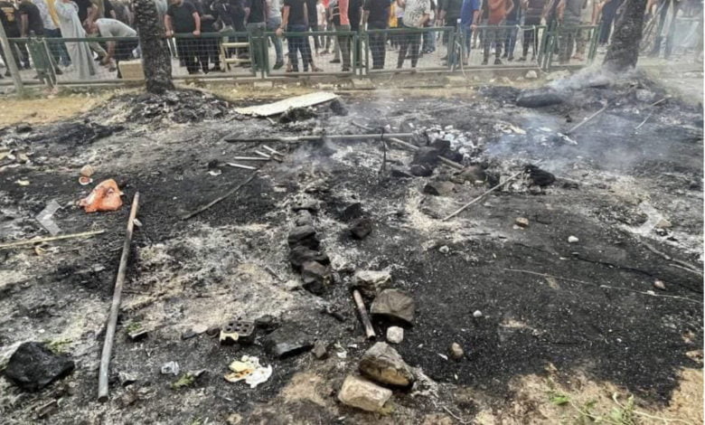 99DC4EFC 6033 4129 9F57 F42495BA66F9