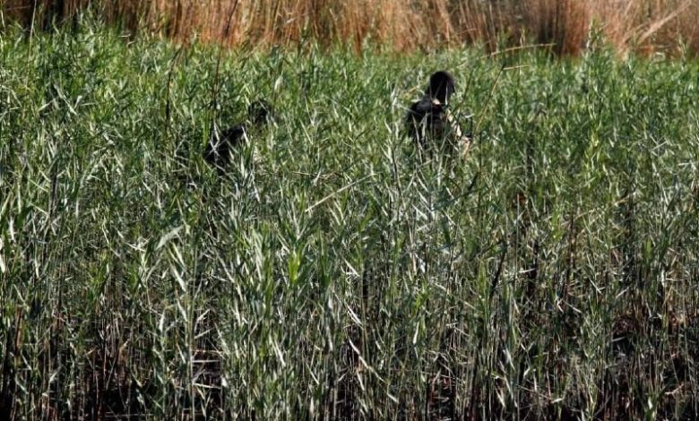 A5CA8448 3706 44CB BBE3 50056335AC83