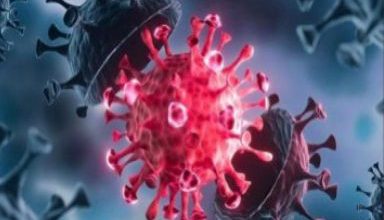 A79336FC DD17 42B0 BF08 5E5AAEC996CF