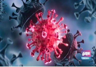 A79336FC DD17 42B0 BF08 5E5AAEC996CF