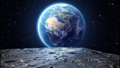 B71DE873 F6EE 4859 A1E6 BA91E2EB809A