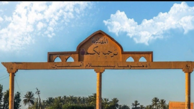 B837997D 2864 4F73 AD67 9AA990F07D2E