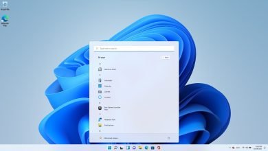 BE666132 21BB 4E94 9DAE 84220EF1A363