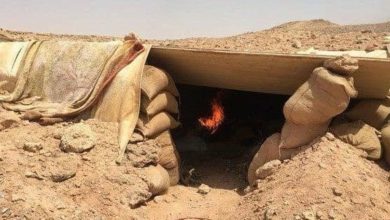 BF43F93C C082 44A7 9D6F 5DA3B51970FE