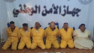 BFE83514 0C0C 4FEB BBE7 C0446E69237F