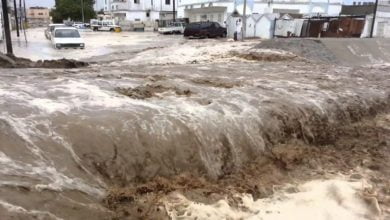 CD3DC599 E317 4F74 84D4 4C2A203A7AFA