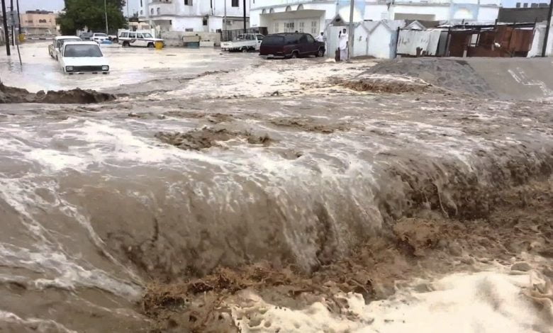 CD3DC599 E317 4F74 84D4 4C2A203A7AFA