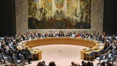 D6233BC8 3D02 4557 A1A4 C8CC3D154627