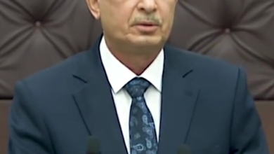 DDFAA19E C922 414F BBBE E4569CDF4ECA