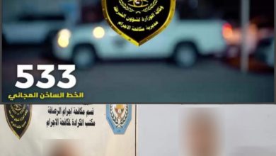 DFD8FF97 8A8B 45B3 B6A3 FC2130961C9D