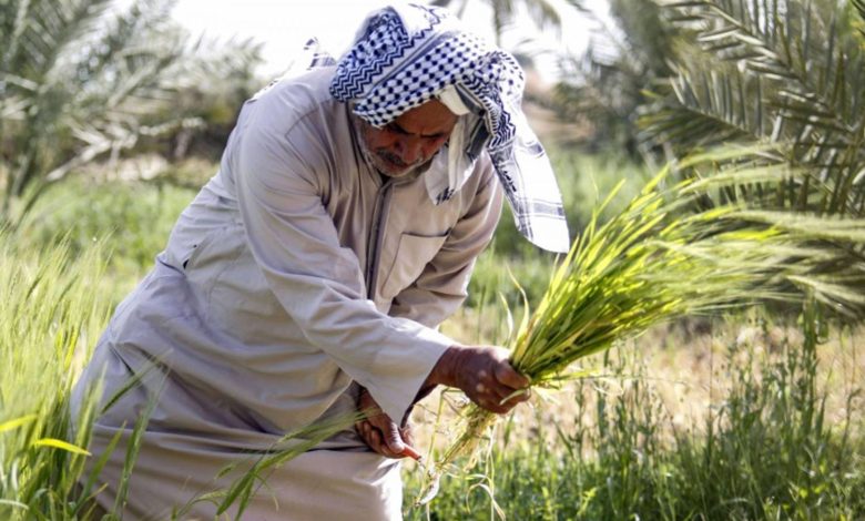 E11ED2A1 34E1 4026 9451 1EE7BDB3E5E9