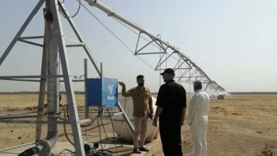 EB8BF348 09B8 46E5 B189 F6BC1B9DD84A