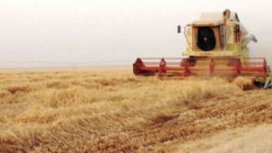 EDE3FDFD 4BA0 426B AD99 84F3EE1981C9