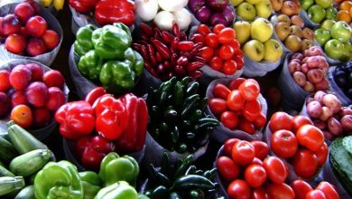 F3872F7D 1E46 4D46 9273 B6D853D2F953