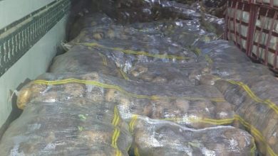 FA02F172 F5B7 4CA9 A18A 0695777C2820