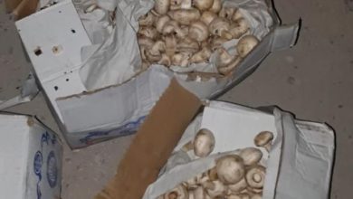 FBF27E6B F421 482D 97FE A67CD6593A42