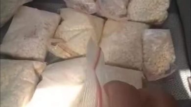 FB IMG 1635875920279