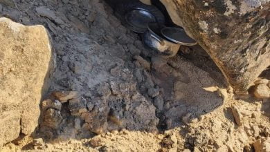 FB IMG 1636897137048