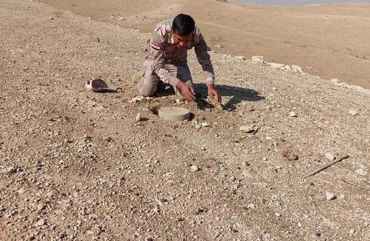 FB IMG 1637241536647