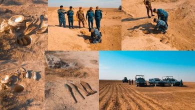 FB IMG 1637422106665