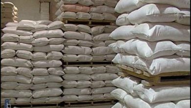 FB IMG 1637489787296