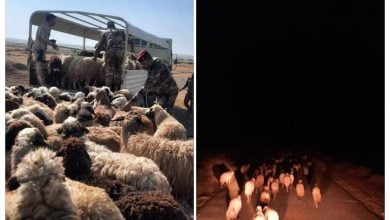 FB IMG 1637609574655