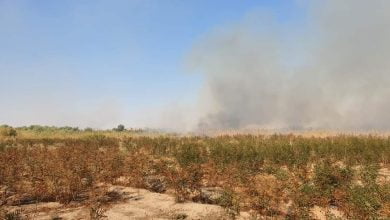 FB IMG 1637678761507