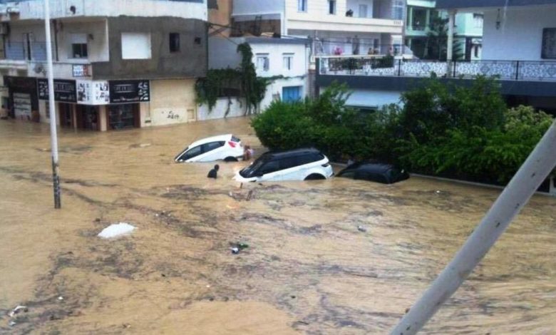 FFB61A5B 5978 4A9E 8D14 40781ED7AD85