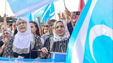 IMG ٢٠٢١١١٢٣ ١١٥٠٠٤