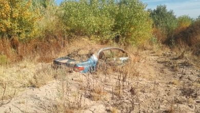 IMG ٢٠٢١١١٢٥ ١٩٣٣١٥