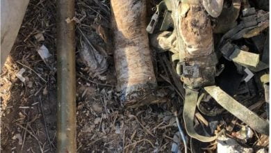 IMG ٢٠٢١١١٢٩ ١٧٤٣٠١