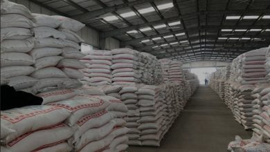 التجارة تستعد لتجهيز وجبة جديدة من الطحين وتؤكد توفر خزين كبير من الحنطة 3 Screenshot ٢٠٢١١١٢٨ ١٧٤٥٥٦ Samsung Internet