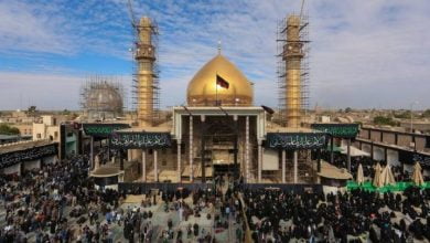 c6d65252 24aa 4493 afdd 7b754e5a8369 780x405 1