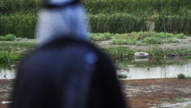 الثقافة: العراق غير مسؤول عن جفاف الاهوار واليونسكو ستناشد دول الجوار 3 045B7F02 1F6C 4BAD 95D9 C79909967324