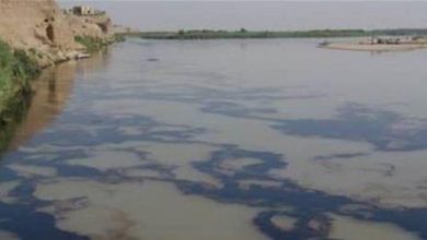 09CC3320 95E1 4BE9 B2AC 7965FE8CC8DB