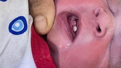 0F564E5A A890 4767 806A DBAD27749A36