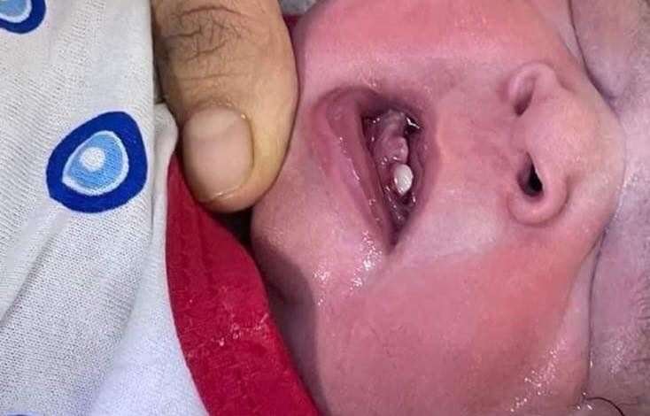 0F564E5A A890 4767 806A DBAD27749A36