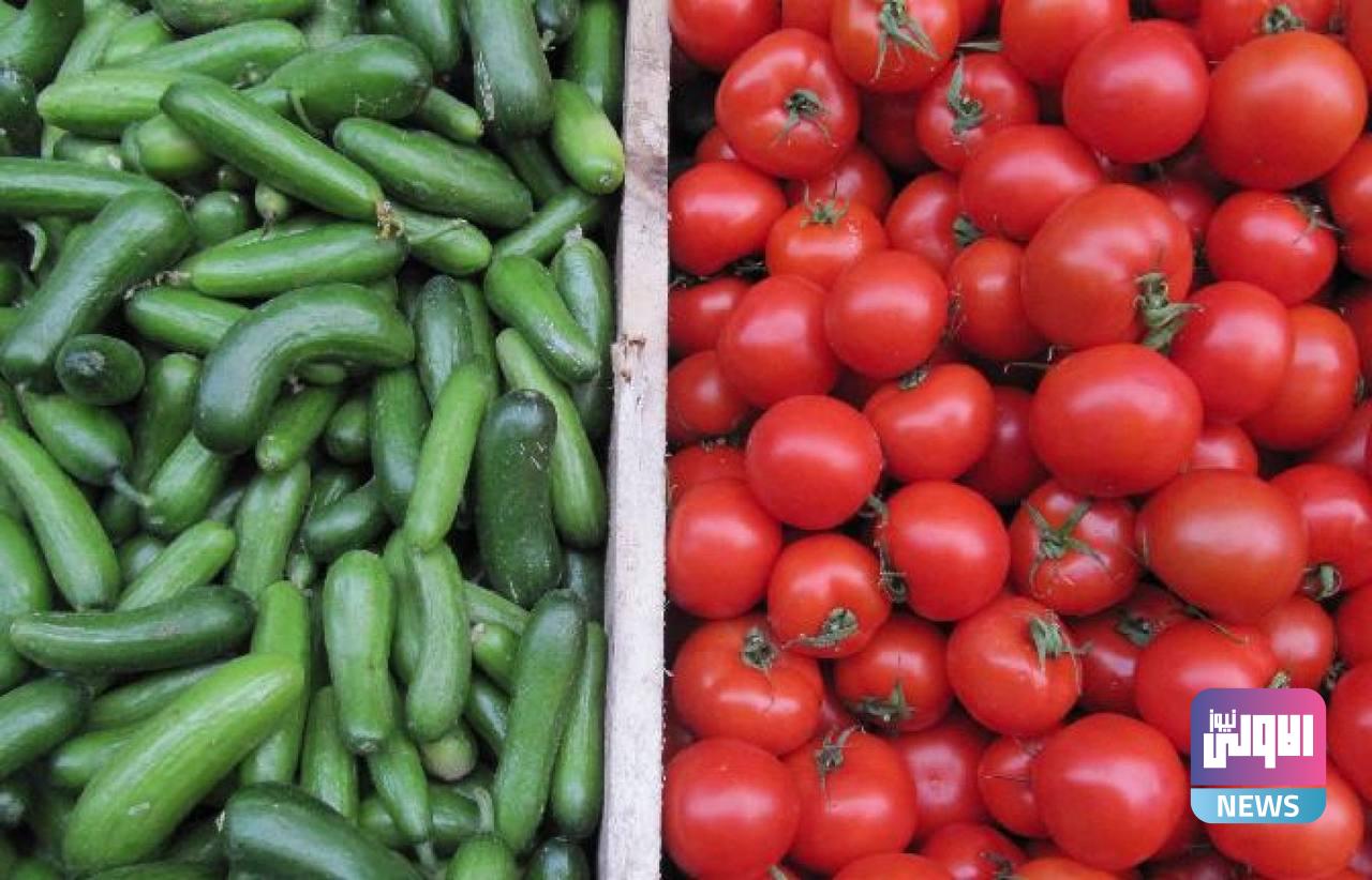 أسعار الخضراوات في الأسواق المحلية 1 1166C353 8F77 4FFE B413 80F5ABAB3D18