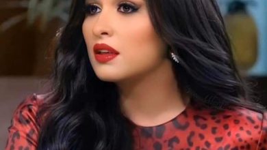 127 115309 yasmine abdel aziz 2