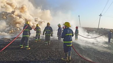 1410122021 264847897 1682364255438527 4333661815119011208 n